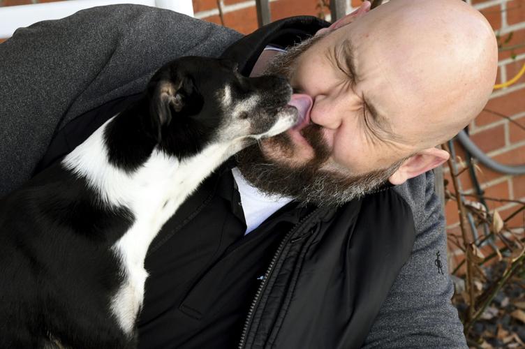 Addiction-Pet Foster Care